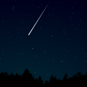 贱狗奴跪下舔脚扇巴掌
