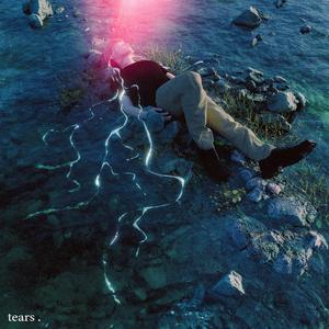 贱狗奴跪下舔脚扇巴掌
