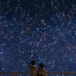 贱狗奴跪下舔脚扇巴掌
